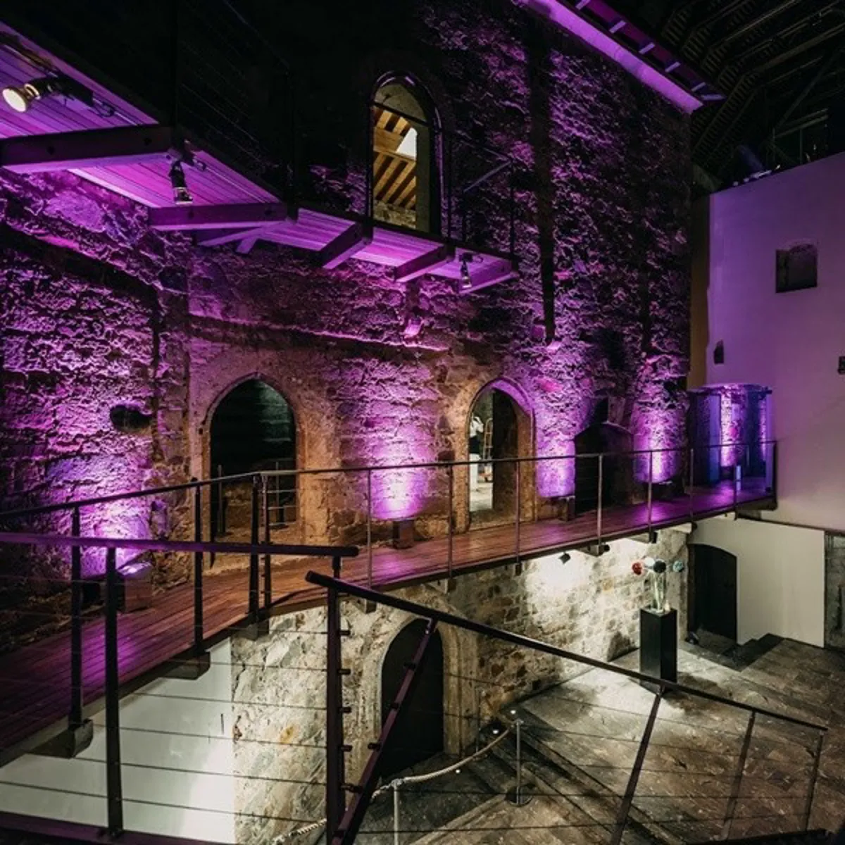 Robe LED par LiteWare™ HO2 (DMX)